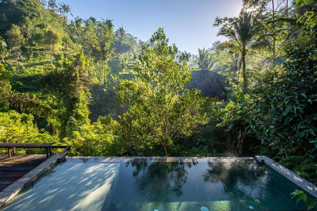 Buahan, A Banyan Tree Escape Payangan Buitenkant foto